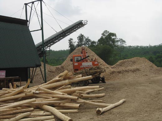 Wood chips for fuel